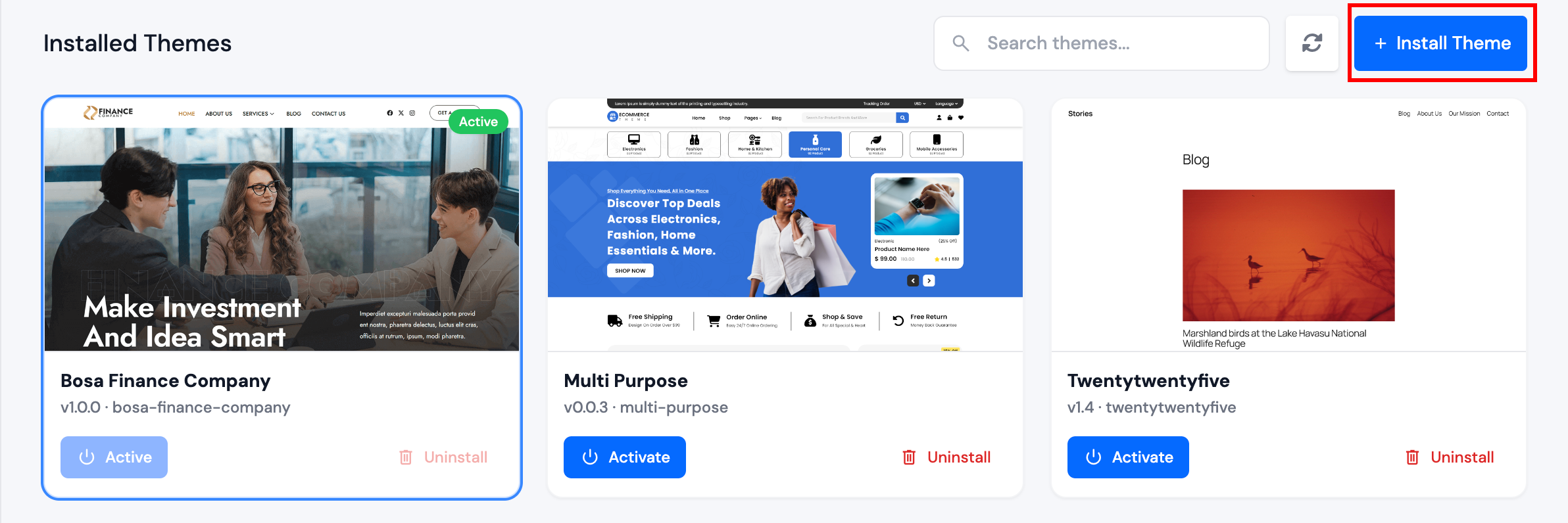 Install Theme button