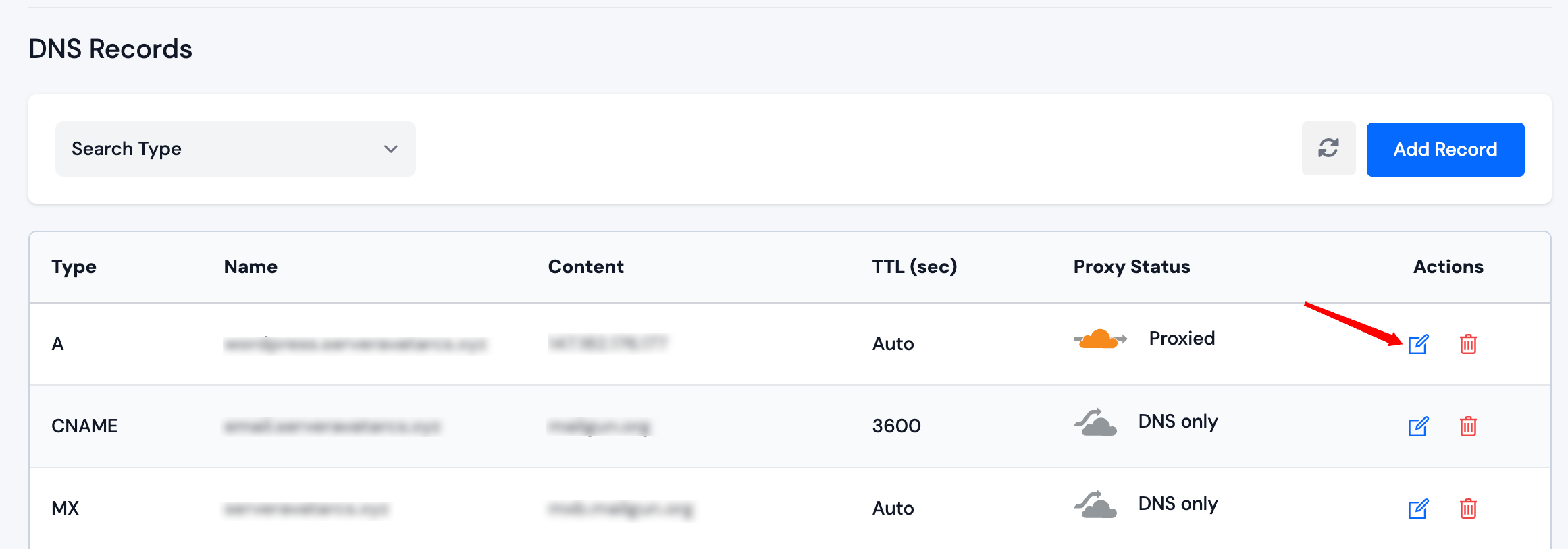 Update DNS Record Modal
