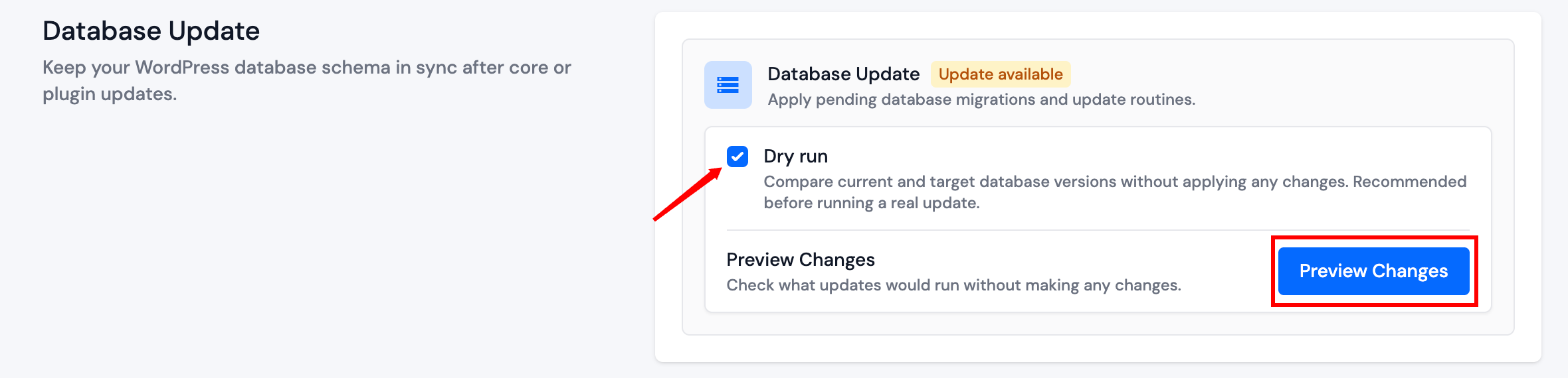 Database Update with dry run enabled